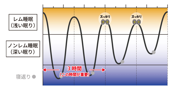 睡眠サイクルグラフ