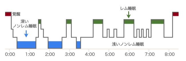 睡眠サイクルグラフ