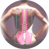 The related figure of the backbone and a tension