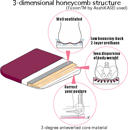 Sectional view