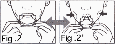 fig2 , fig2'