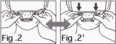 fig2 , fig2'