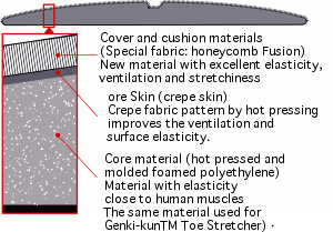 Sectional view