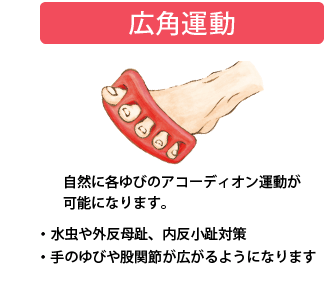 広角運動:自然に各ゆびのアコーディオン運動が可能になります。・水虫や外反母趾、内反小趾対策・手のゆびや股関節が広がるようになります