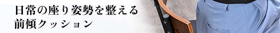 日常の座り姿勢を整える腰痛対策クッション