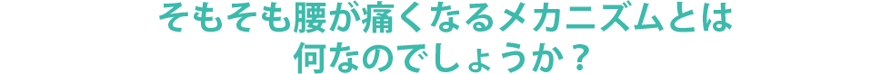 そもそも腰が痛くなるメカニズムとは何なのでしょうか？