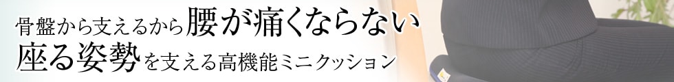 骨盤から支えるから腰が痛くならない 座る姿勢を支える高機能ミニクッション