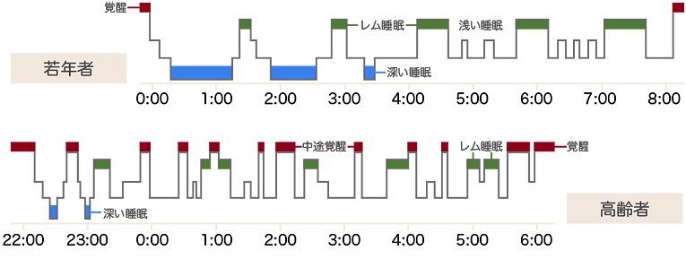 高齢者と若年者の睡眠脳波