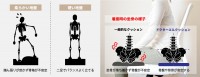 ドクターエルクッションが硬いわけ　図