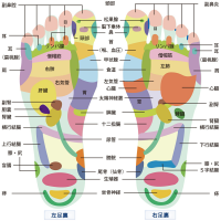 足裏ツボ図(クリックで拡大)