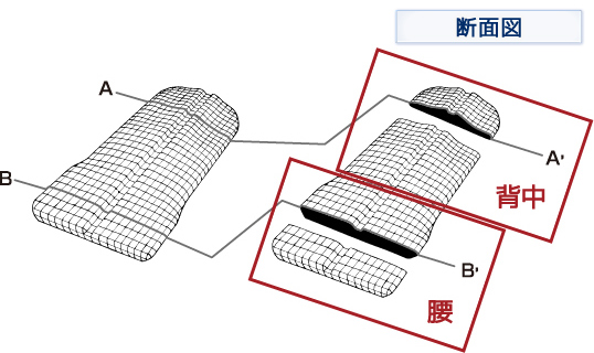 back to back 断面図