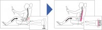 シートバッククッション