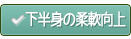 下半身の柔軟向上