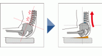 腰が伸びる図