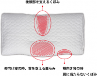 ねるぐ枕の形状、“膨らみ”と“くぼみ”の図