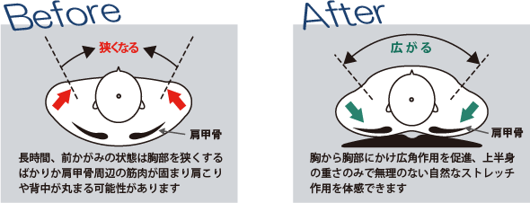 背中元気くん 健康器具の通販ドクターエル