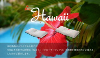 Hawaii　当社商品はハワイでも人気です。今回はその中でも好評な『ねるぐ』『ピローモーフィアス』の感想を現地の方々に頂きましたのでご紹介します。