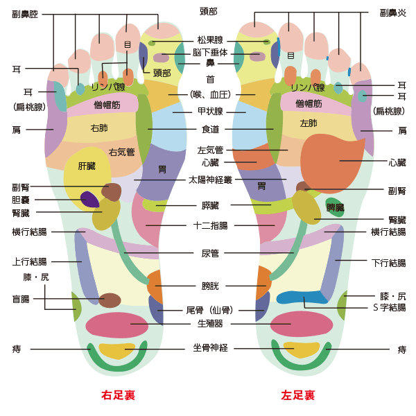 元気くんのあい坊 健康器具の通販ドクターエル